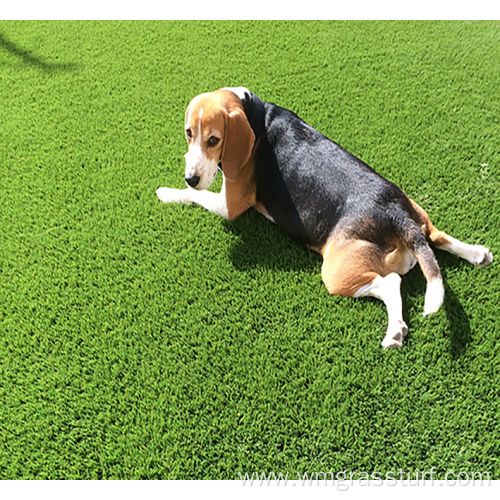 Artificial Grass Used for Pets